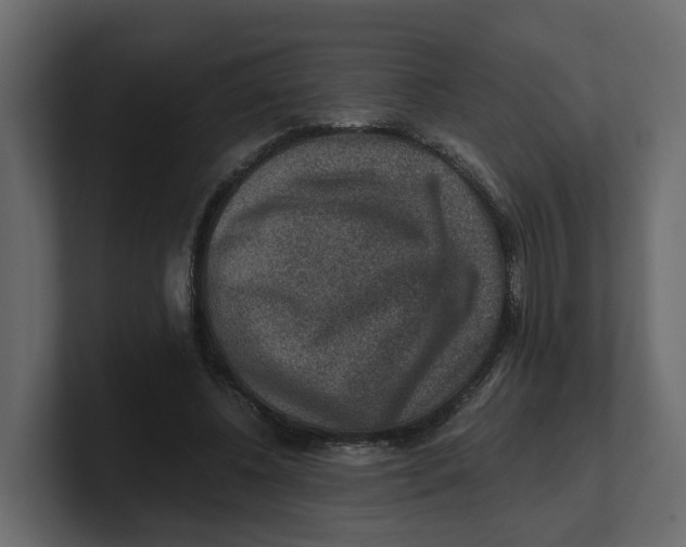 X0000100900540200807151120