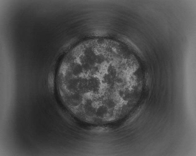 X0000100900542200807151120