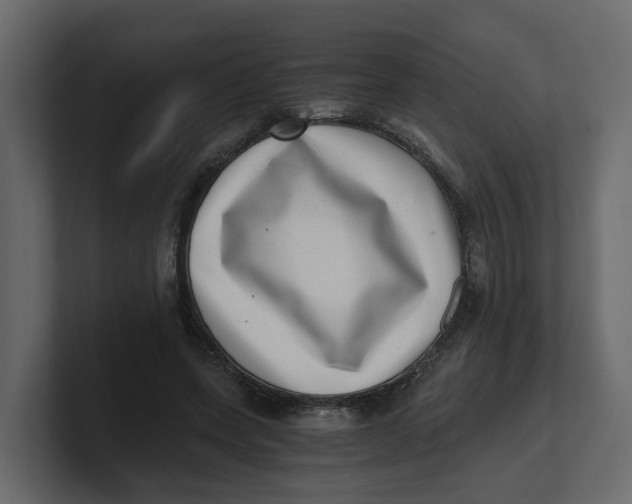 X0000100900543200807151120