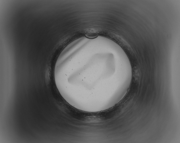 X0000100900544200807151120