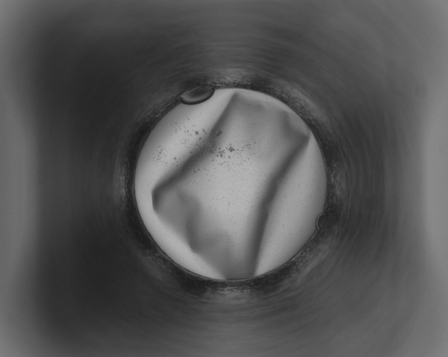 X0000100900546200807151120