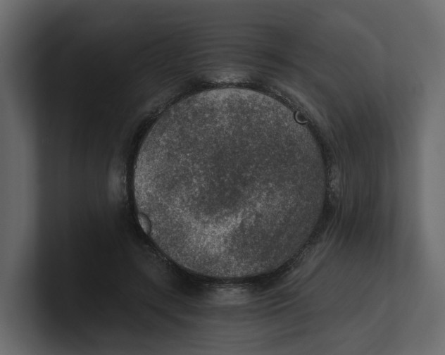 X0000100900547200807151120