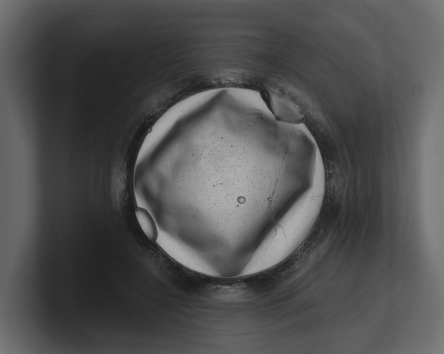 X0000100900548200807151120