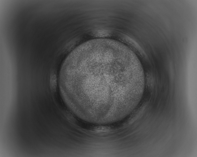 X0000100900549200807151120