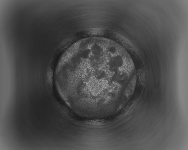 X0000100900550200807151120