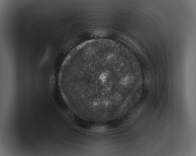 X0000100900551200807151120