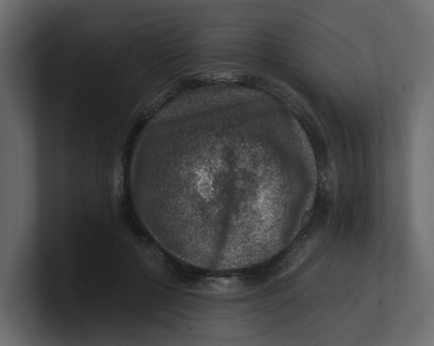 X0000100900552200807151120