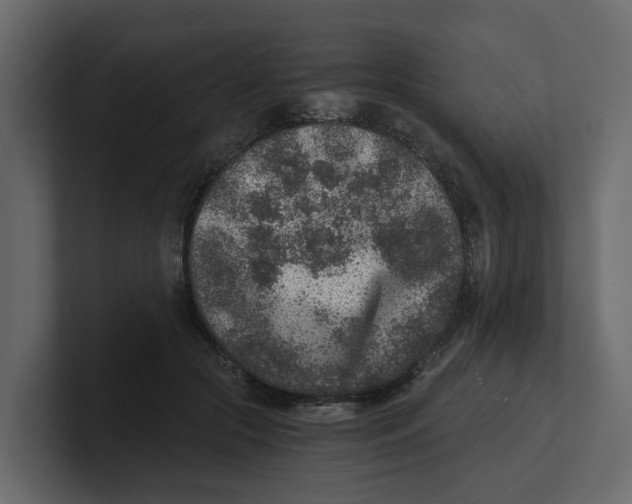 X0000100900553200807151120