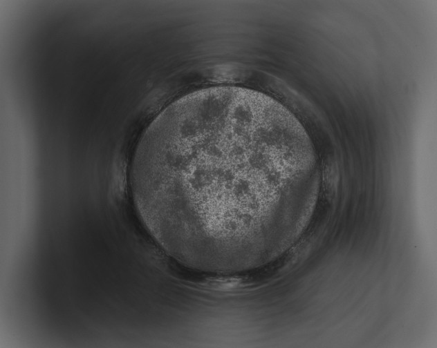 X0000100900554200807151120