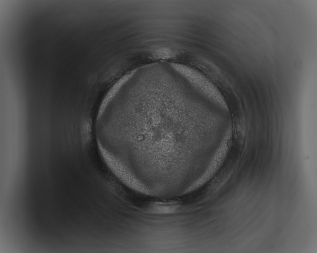 X0000100900556200807151120