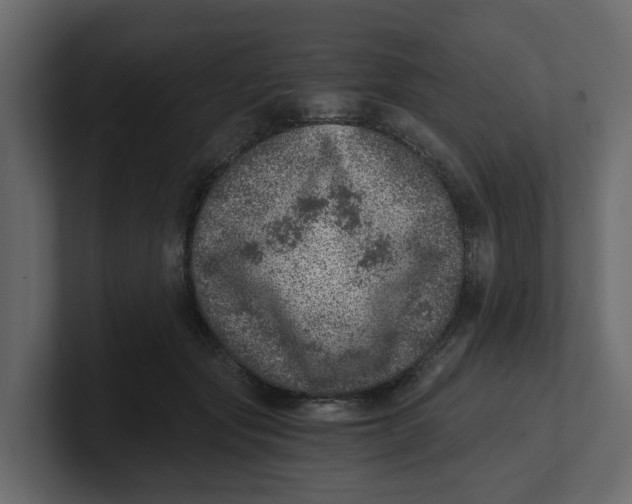 X0000100900557200807151120