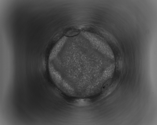 X0000100900558200807151120