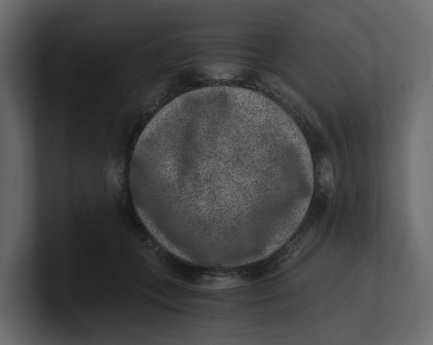 X0000100900559200807151120