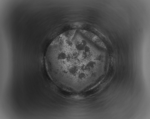 X0000100900561200807151120