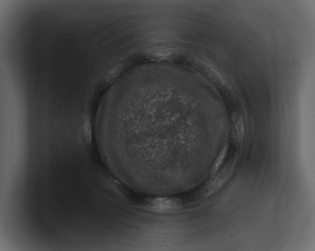 X0000100900562200807151120