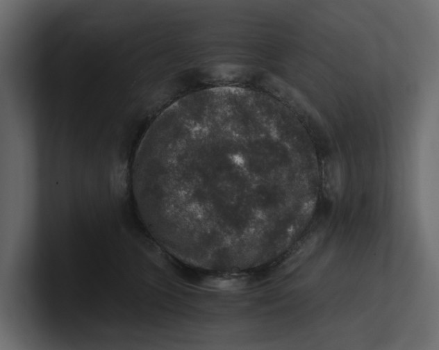 X0000100900563200807151120