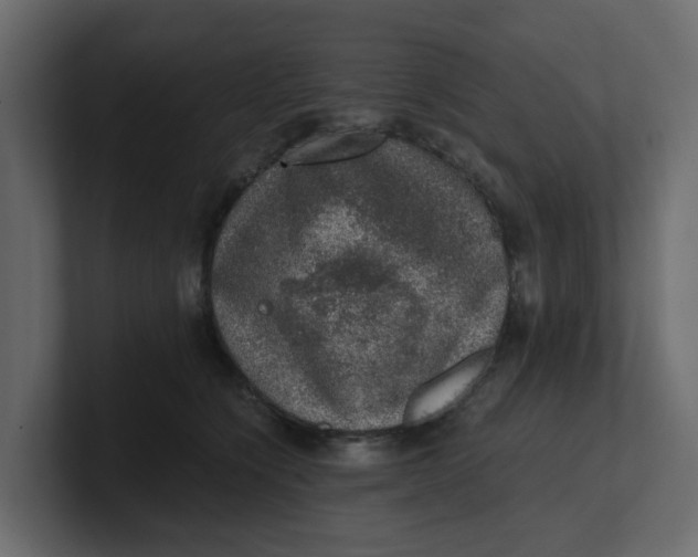 X0000100900564200807151120