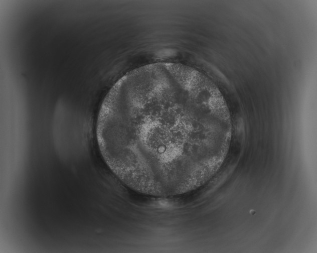 X0000100900565200807151120