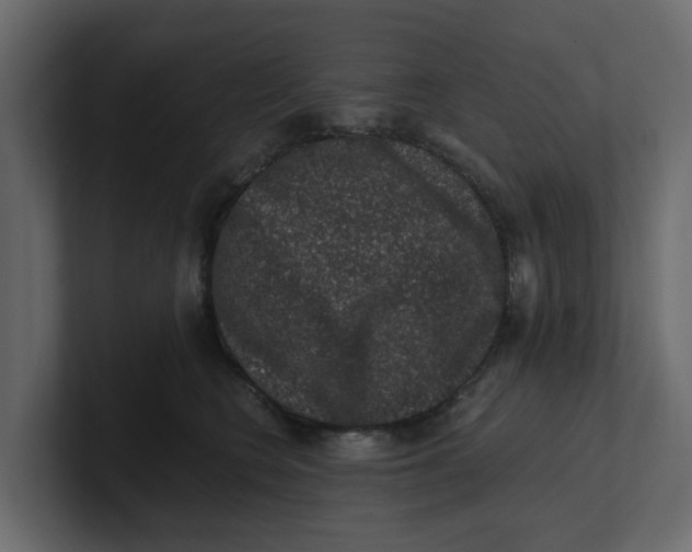 X0000100900566200807151120