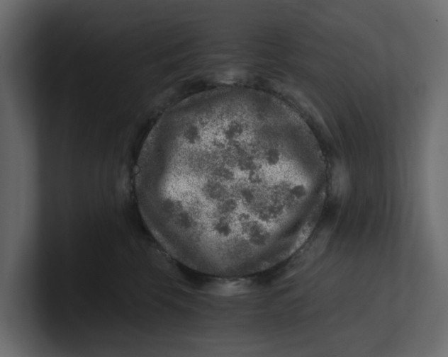 X0000100900569200807151120