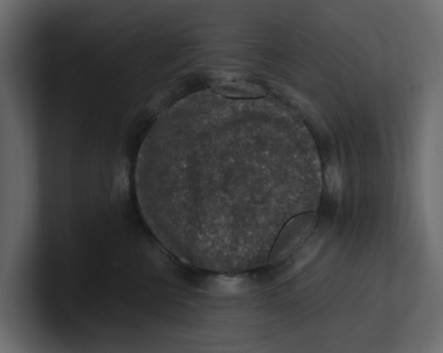 X0000100900570200807151120