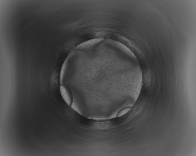 X0000100900571200807151120