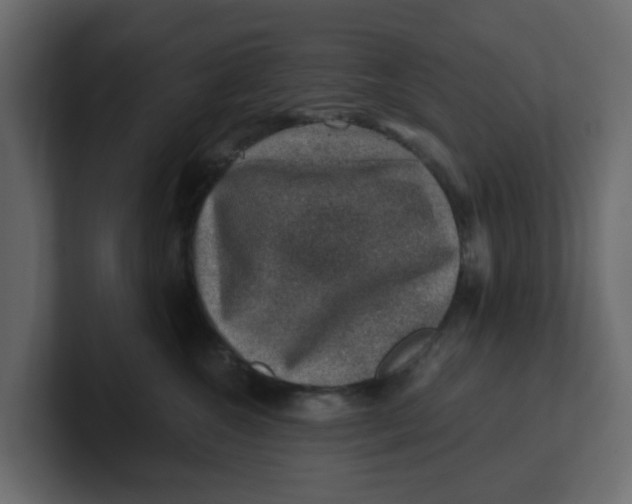 X0000100900572200807151120