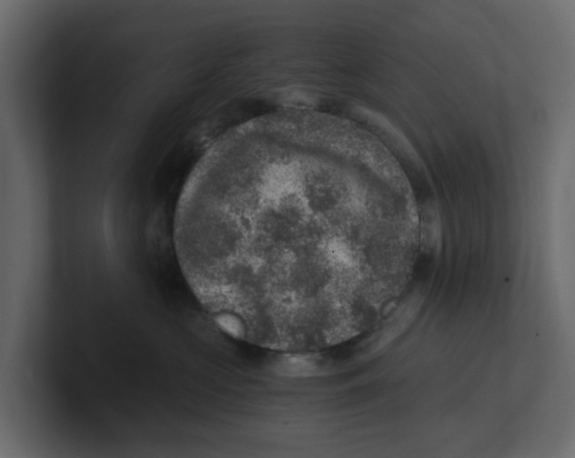 X0000100900573200807151120