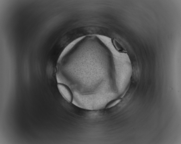 X0000100900574200807151120