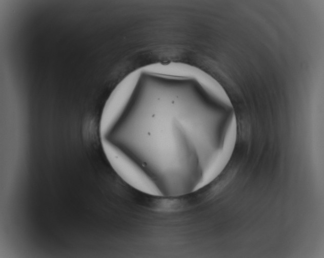 X0000100900575200807151120