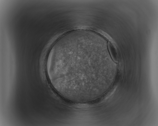 X0000100900577200807151120