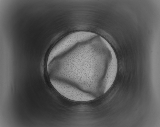 X0000100900578200807151120