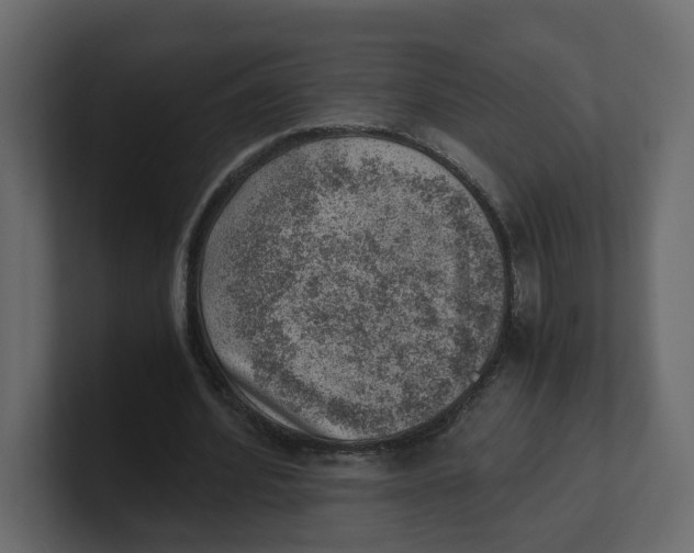 X0000100900580200807151120