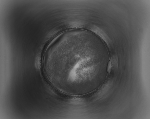 X0000100900581200807151120