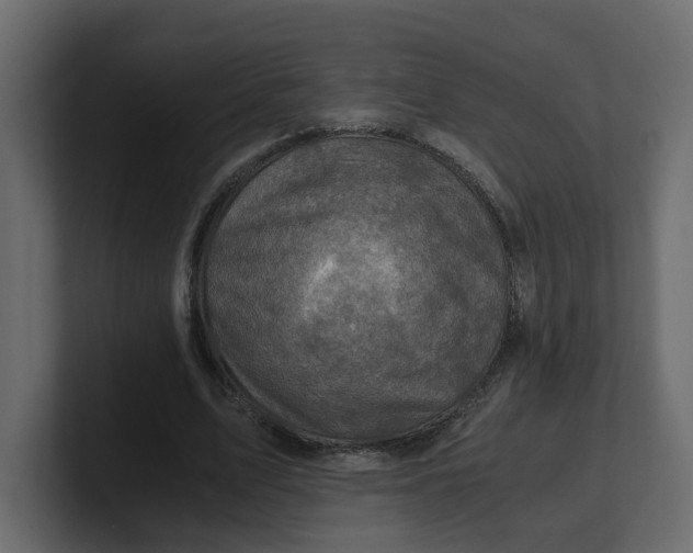 X0000100900583200807151120