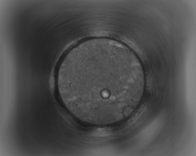 X0000100900584200807151120