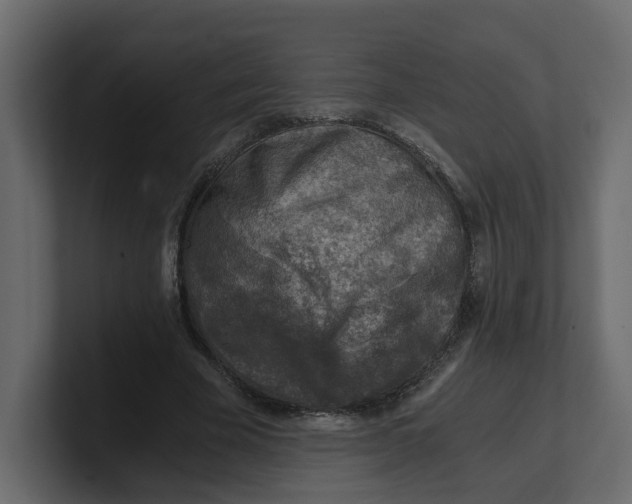 X0000100900585200807151120