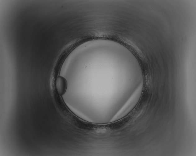 X0000100900587200807151119