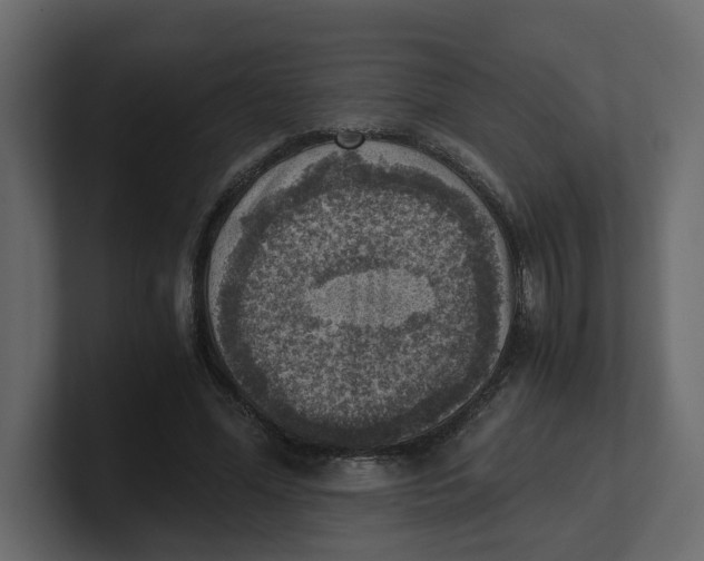 X0000100900588200807151119