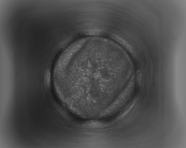 X0000100900589200807151119