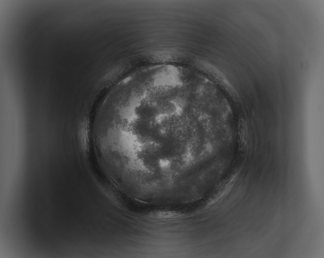 X0000100900590200807151119