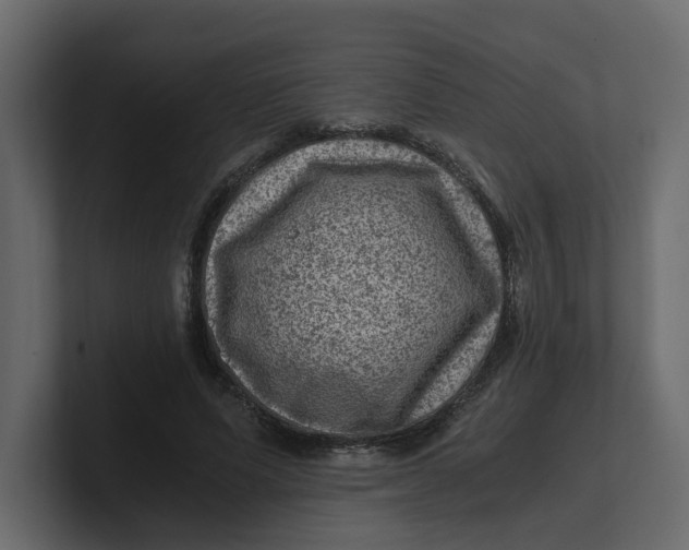 X0000100900591200807151119