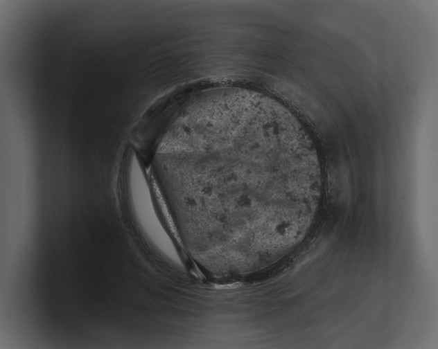 X0000100900592200807151119