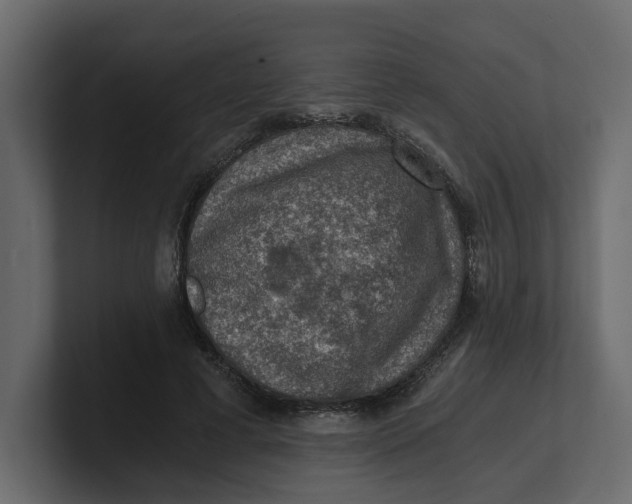 X0000100900593200807151119