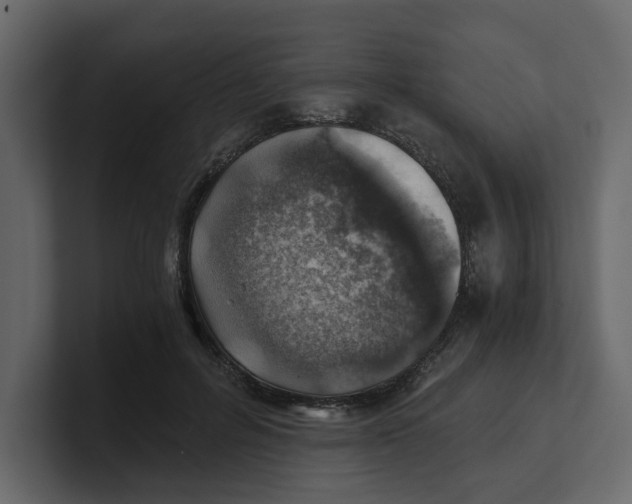 X0000100900600200807151119