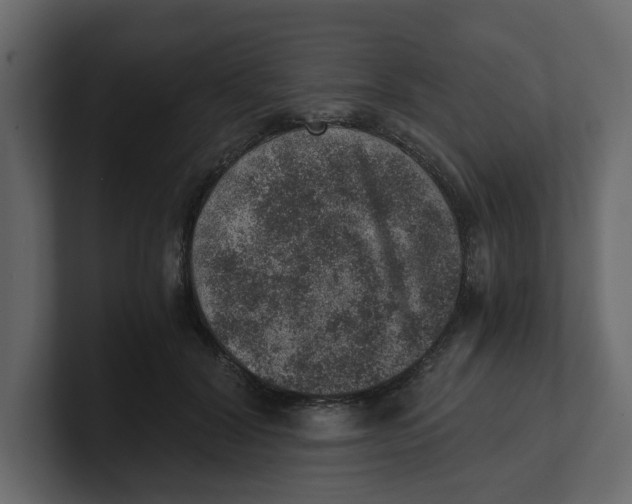 X0000100900604200807151119