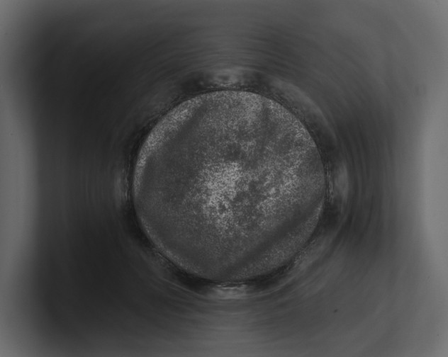 X0000100900606200807151119