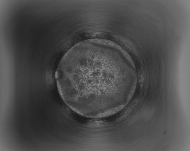 X0000100900607200807151119