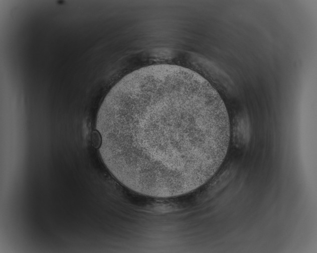 X0000100900608200807151119