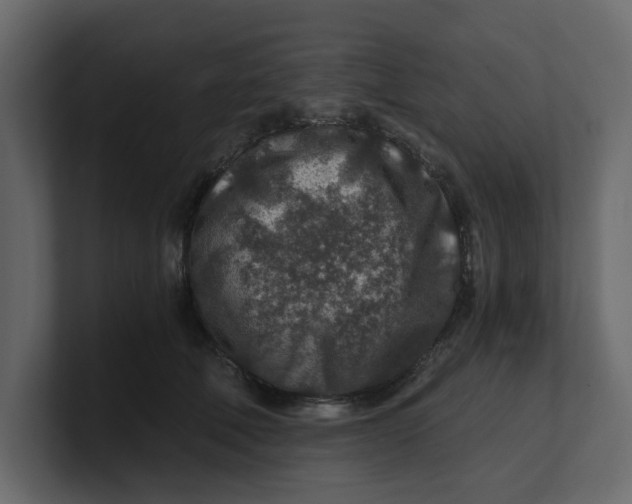 X0000100900610200807151119